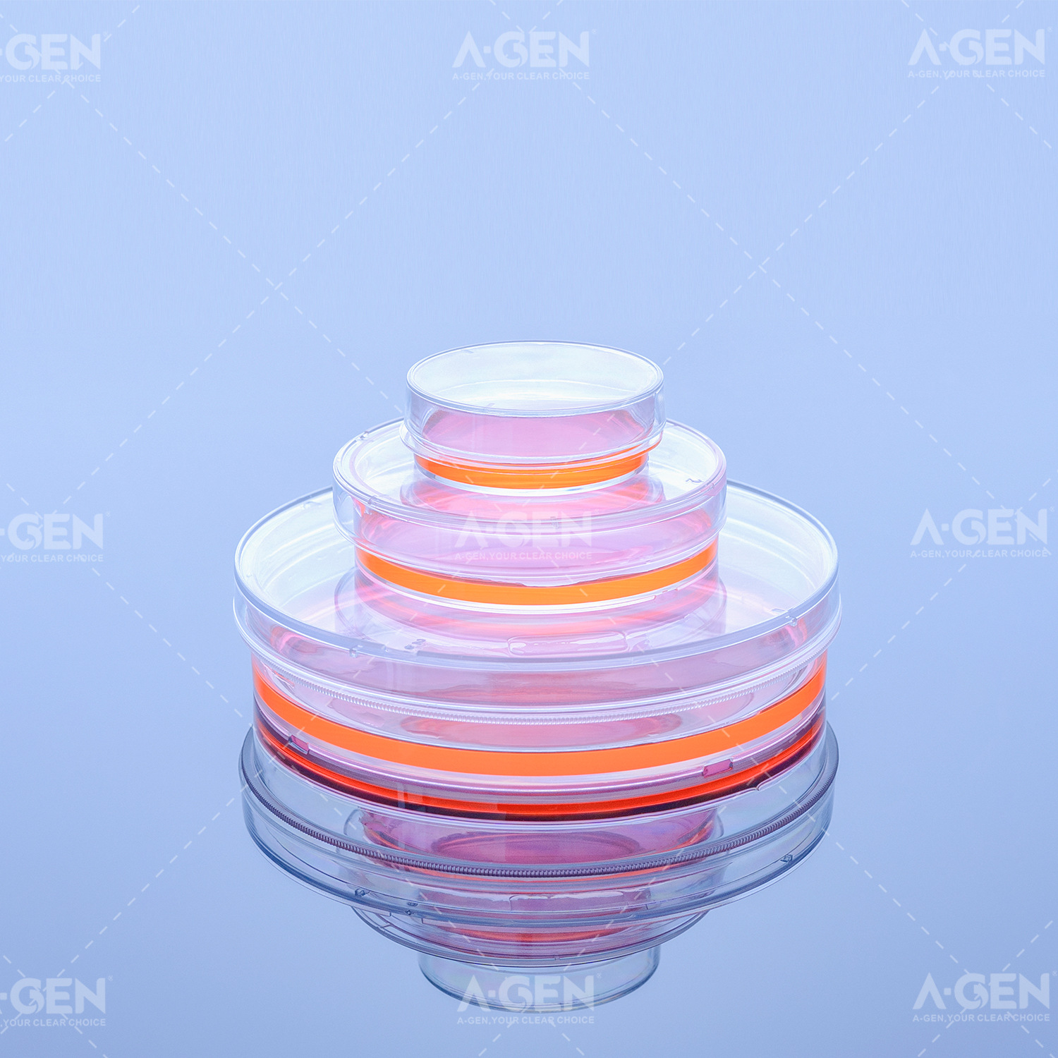 爱津灭菌培养皿 一次性塑料培养皿35mm60mm100mm多规格细胞培养皿