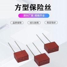 方型保险丝2A 250V红色慢熔断方形塑封保险管3.15A250V插件保险丝