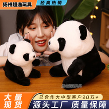 ������؈����ë�q��ż��؈�F�Ӳ�����������l��ͯ���նY��Դ�^�S