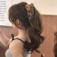 �͹ű��ykt؈�����㽶�AŮ���X�װl�A�^l���Rβ�A�P�l�Q�A�l�