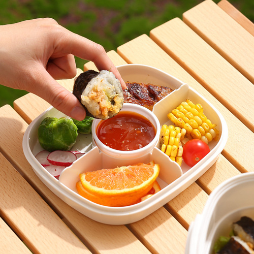ISN Internet celebrity outdoor camping lunch box salad 1.3L lunch box divided cold picnic crisper bento box