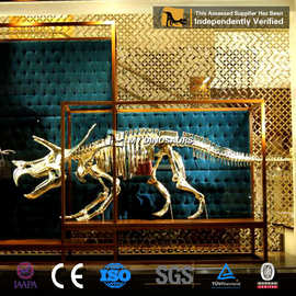 LV合作大型恐龙化石金骨架 仿真拼装骨骼模型 三角龙骨骼橱窗装饰