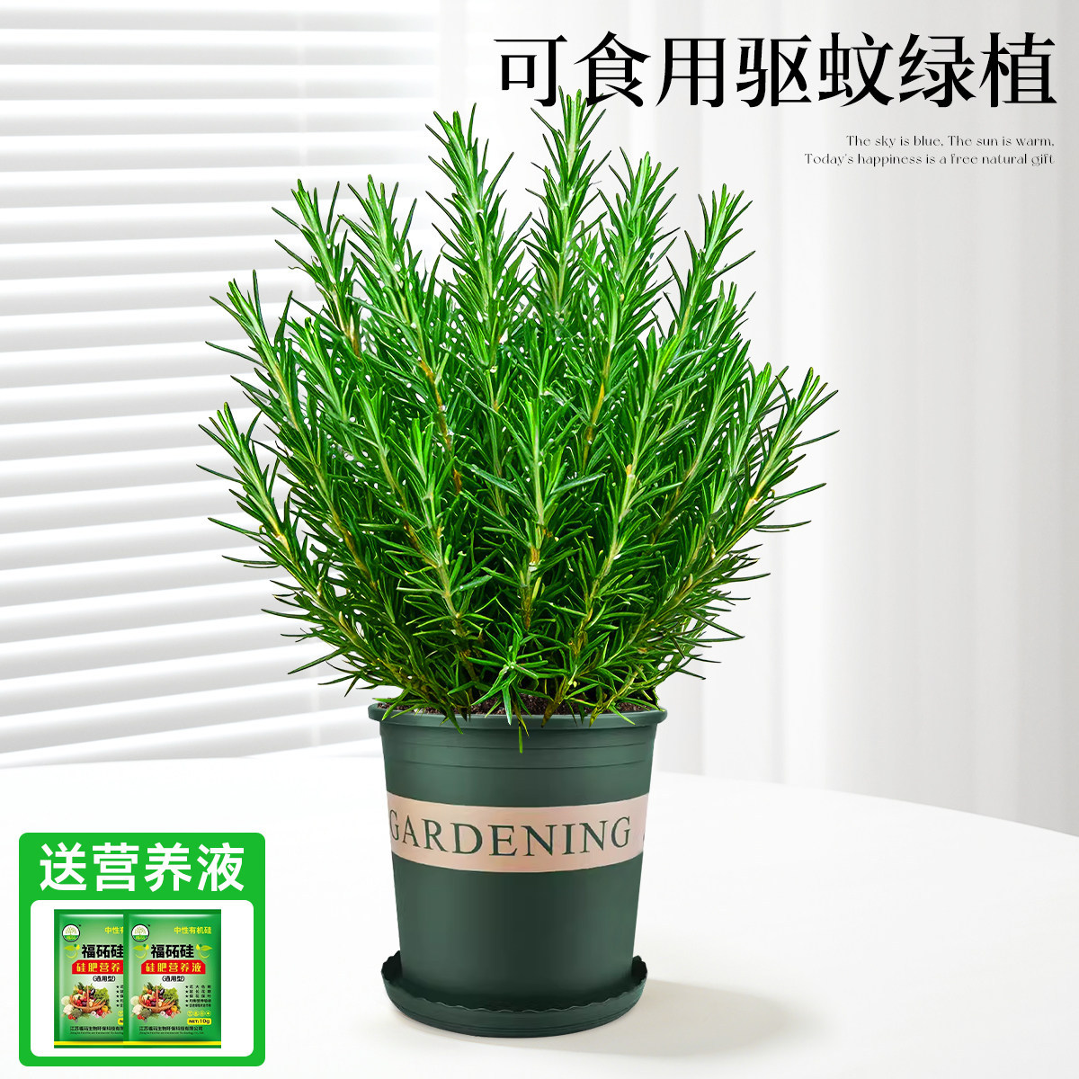 With simple planting pot