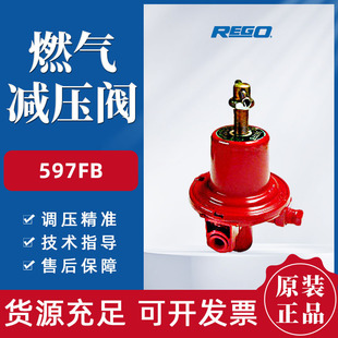 Rego����һ��Һ����p���y597FBȼ��ܵ��߉��{������й©DN8