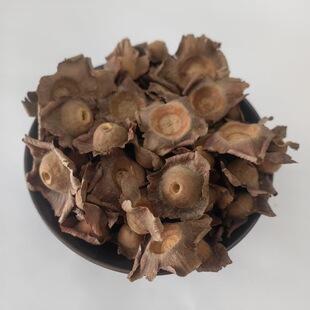 ����500g���ӵ� ���� ������ș�����l���������١��y؛�����Ĕz