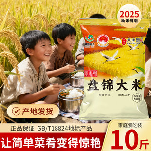 �P�\з����10�������״���1���b�A��2025������500g�r�Ҿ��ױ���