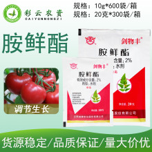 剑物丰2%胺鲜酯促进发芽细胞分裂生根壮苗膨大果实抗逆生长调节剂