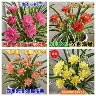 �ذ�Ý������B���ļ������Դ󻨾Gֲ�����_��߅���m�҃�