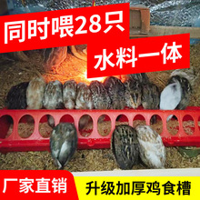 С�uι�uʳ���B�u�����ϲ��g�����J���uι�uʳ���L����ˮ��һ�w