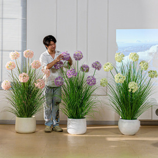 �������JȔ�M�����ѹ�Ӣ����Gֲ�쾰�[���҃��b�������Լٻ�