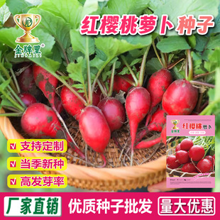 ���l�����}���N�Ӵ����֭�r��ˈ@�̨����С�t���A�}���N����