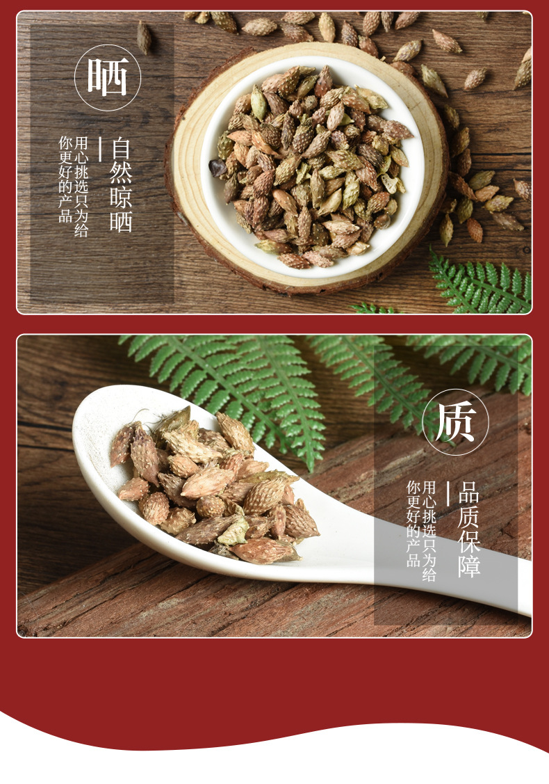 Cang Er Zi (Xanthium sibiricum) — De-Spined Dried Fruit for Herbal Decoction & Soup quality and texture