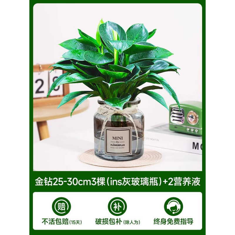 금 다이아몬드 3개(회색 유리병 내) + 크리스탈 머드 + 영양액 2개