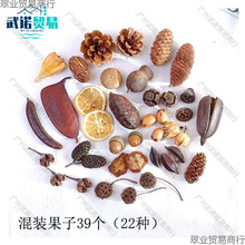 ɻɹMb׃@DIYֹϰɹɻ[յ