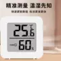 干湿数显电子智能温度表