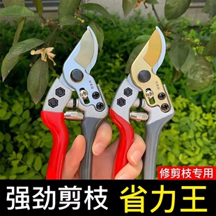 SK5䓹��䌣����֦�����ù��@֦���๦�܏�����֦��������֦����