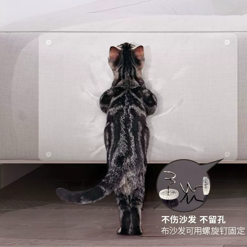 Protective sofa, toy, cat