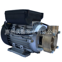 广东惠州沃德漩涡水泵Y-2951.021S卧式铜叶轮铜泵体热水热油泵