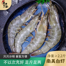 新日期原装进口厄瓜多尔大虾20-30规格新鲜Q弹海鲜鲜虾虾鲜活速冻
