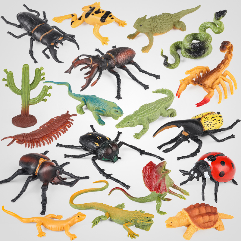 Children's animal model
