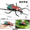 HFM Hollow Green Carabid Beetle C2