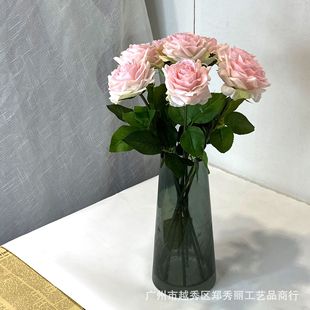 Ӣ��Сõ������ָб�����^�����z �Ƶ�Ҿӻ�Y���� ���Sֱ�N