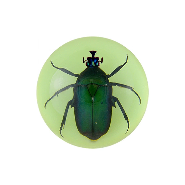 6.4cm semicircle luminous scarab beetle