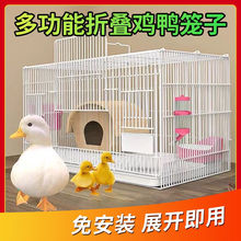 鸡笼芦丁鸡专用家用养殖加密雏鸡笼小鹌鹑笼鸭笼柯尔鸭笼一件代发