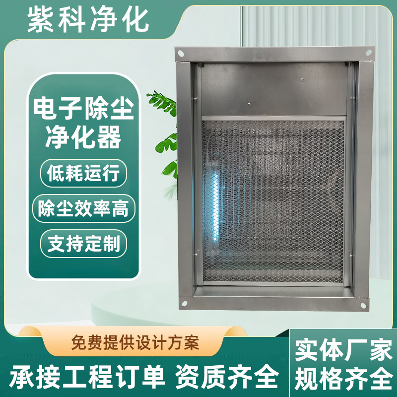 Workshop Electronic Dust Removal Equipment 0.1μm Fine Dust Purification Electrostatic Dust Removal Purifier for Hospital Lab