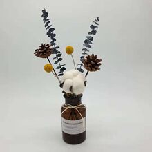 insСɭϵ�ɻ���ƿ�[�������ȼ����޻������廨���W�Ҿ��}�Q�b