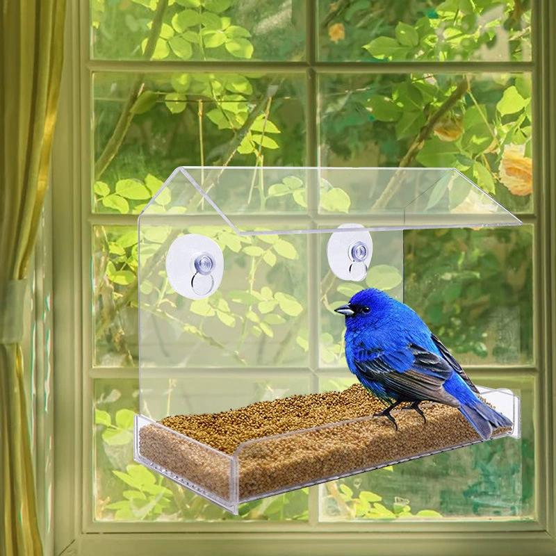 Прозрачный акриловый попугай кормушка для птиц хижина кормушка для диких птиц за окном