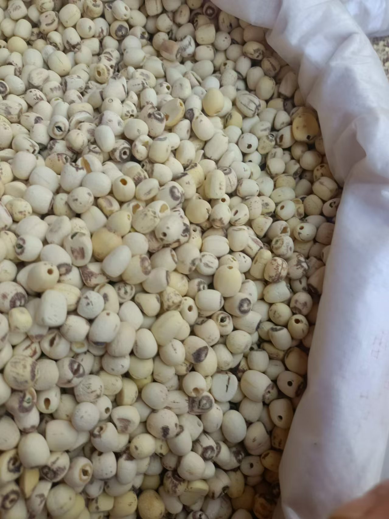 Hunan Peeled White Lotus Seeds Lian Zi 500g Sulphur-Free Core-Removed Food and Herb Use in use