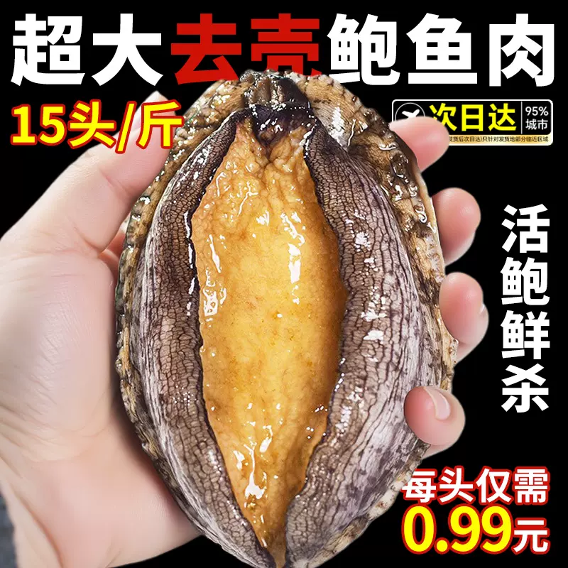 鲍鱼肉冷冻去壳特大号新鲜活鲍佛跳墙专用速冻小鲍鱼火锅食材海鲜