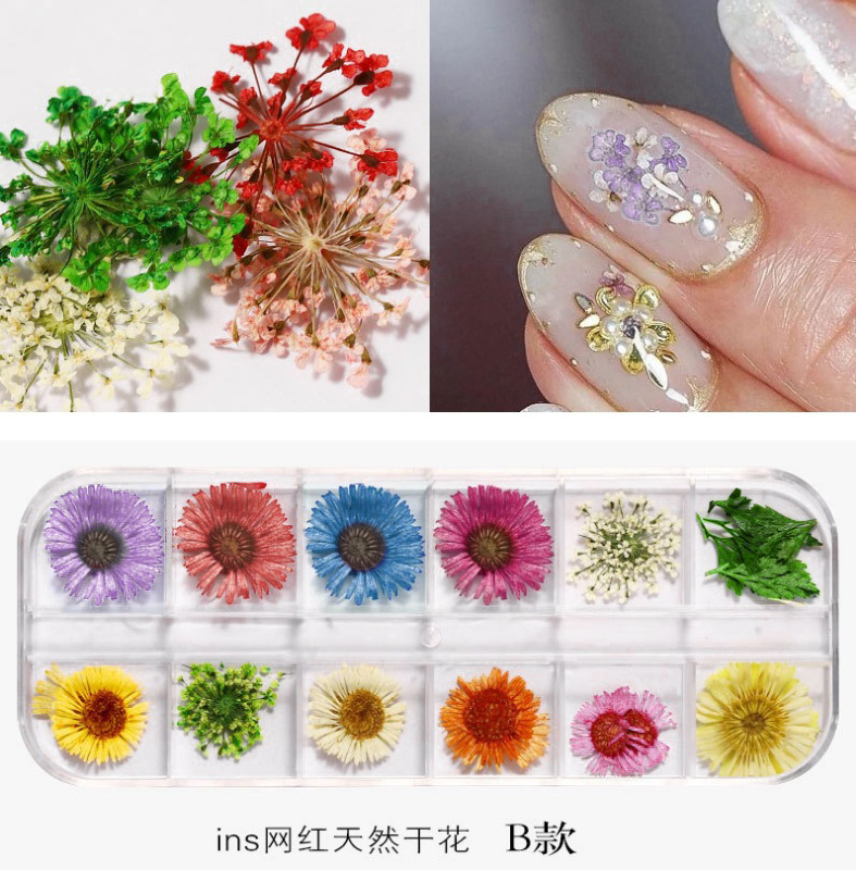Nuevo clavo japonés flor seca 12 color estrella girasol Margarita 12 color flor seca decoración 24 uñas flores secas