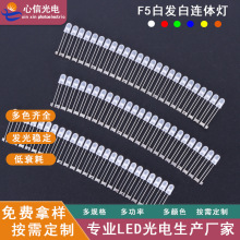 源头工厂F5白光连体灯5mm直插LED发光二极管广告灯箱配件灯珠批发
