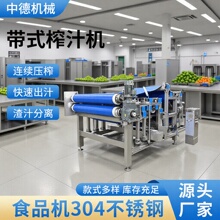 DYJ-3带式压滤机 机械全自动压榨机苹果梨类水果 带式榨汁机