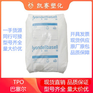 TPO Basel X101H CA12A Good impact resistance Good flexibility Low temperature impact resistance Chemical resistance