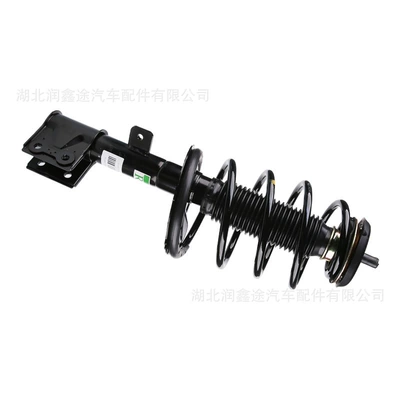 Citroen C4 Coupe Peugeot – damping system