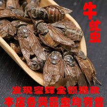 ţ��xţ���x������ţ�nωţå�xţ���Ӡ��xæ�x���]��؛��؛