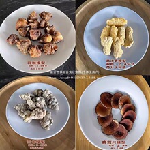 ș���B�����յ����tԺș����ʳ��Ʒģ�͘˱�����ģ���i�ģ��