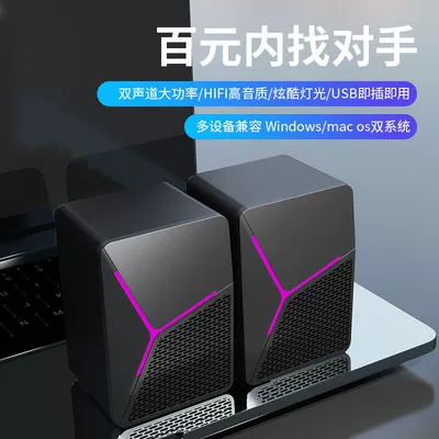 Desktop Computer Audio Notebook Car speaker/subwoofer