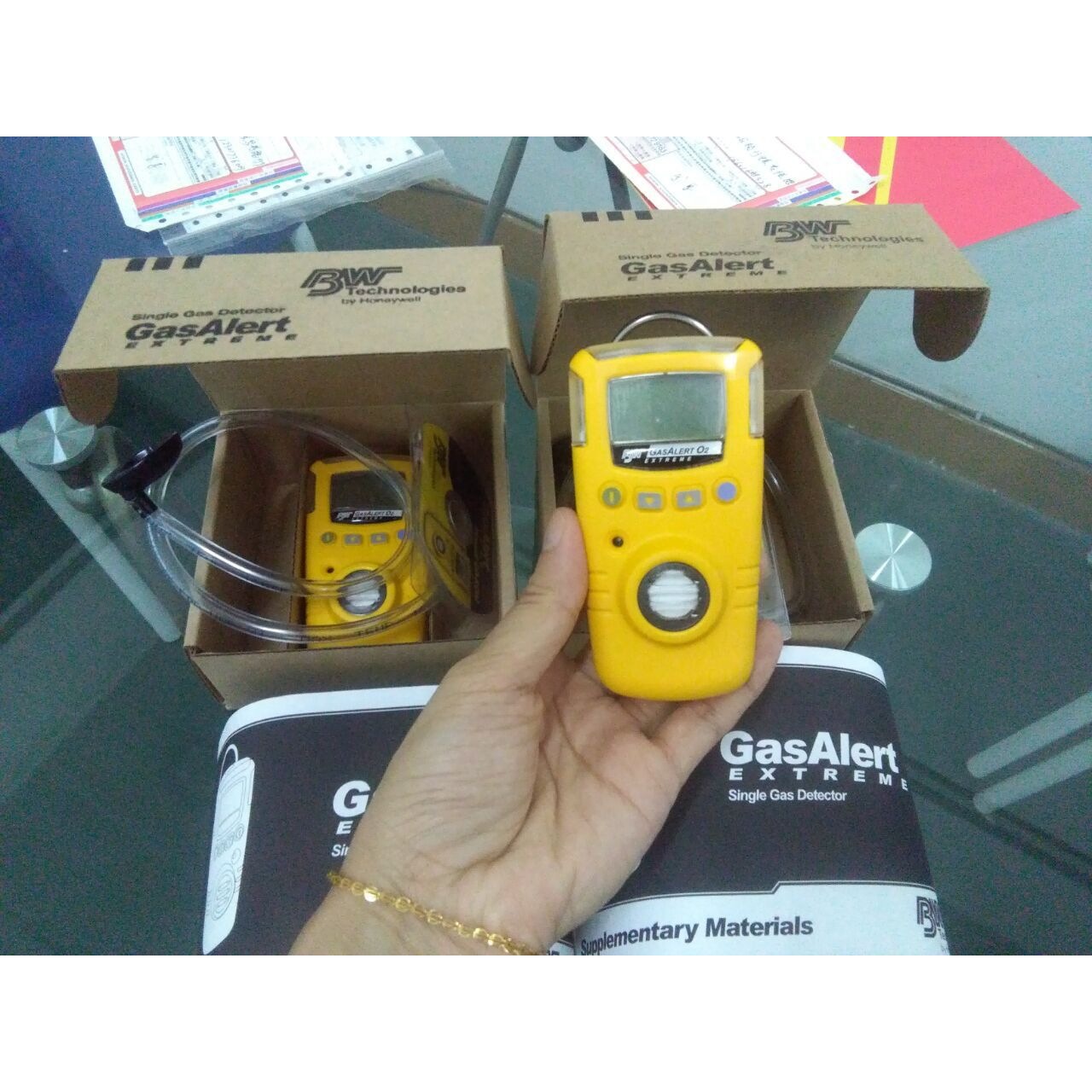 加拿大BW 原装正品GAXT-E-DL 环氧乙炔检测仪,ETO环氧乙烷分析仪