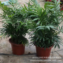 ���FҬ��230#�����Pβ��Gֲ������Ҭ�������Ļ��ܻ������lֱ��