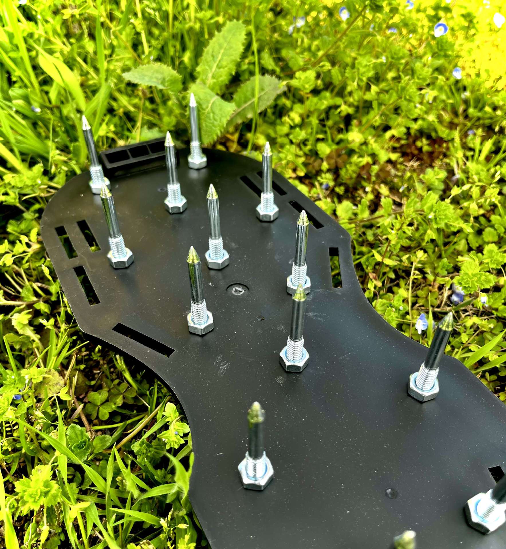 Garden Spikes Image 7