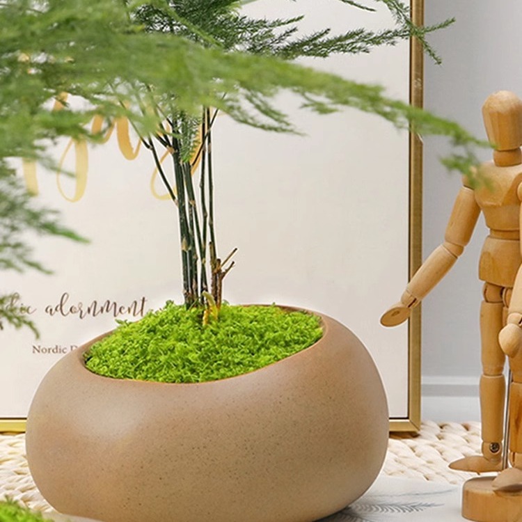 仿真苔蘚絲假青苔仿生草坪綠植造景水陸缸玻璃缸假山草坪盆景盆栽