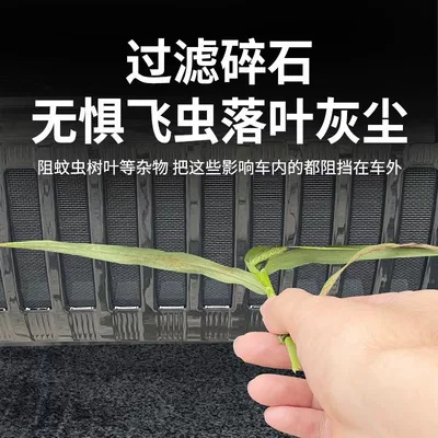 BYD yuan up insect net: Automobile anti-insect net