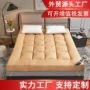 件套加厚双人四季褥子