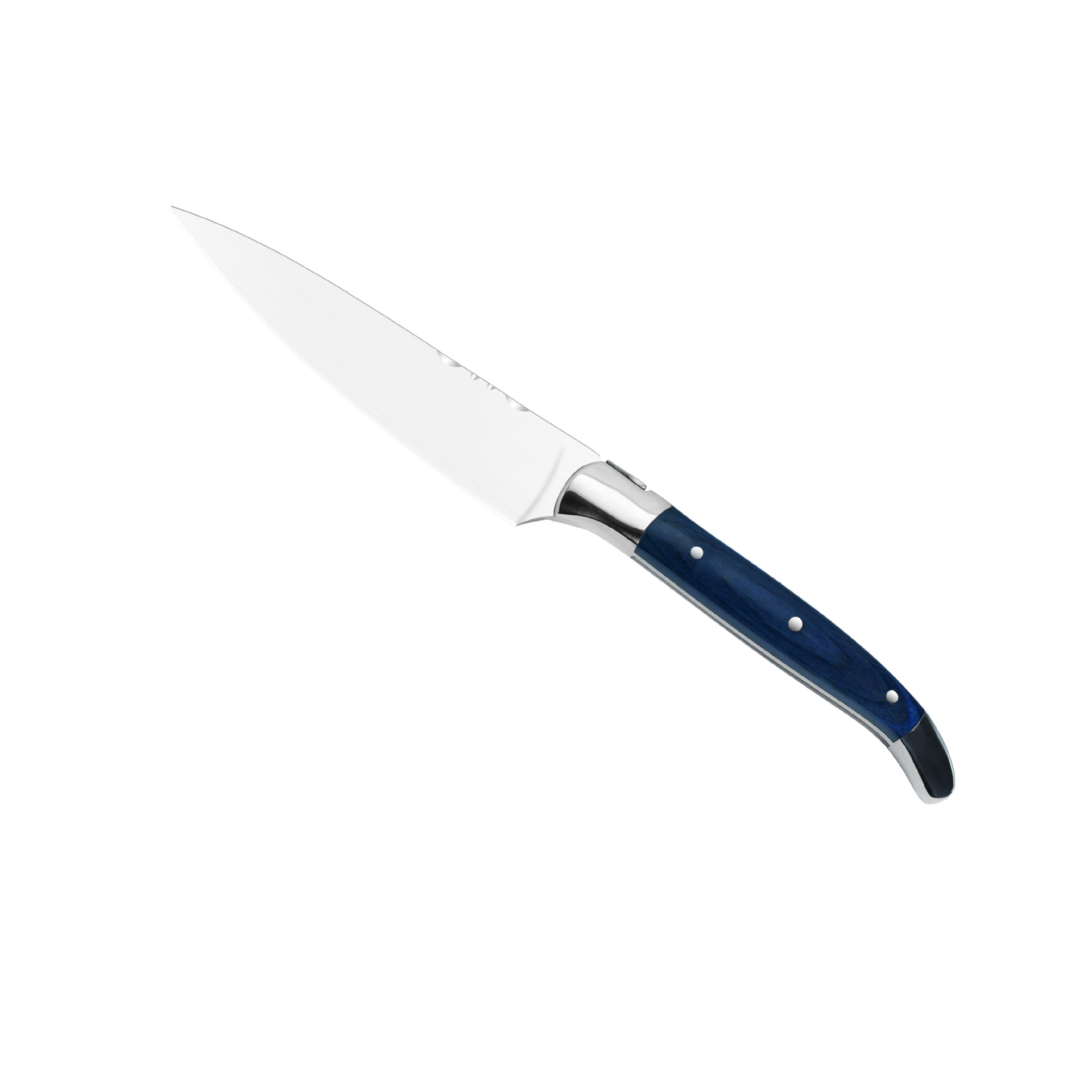 파란색 손잡이 다용도 칼