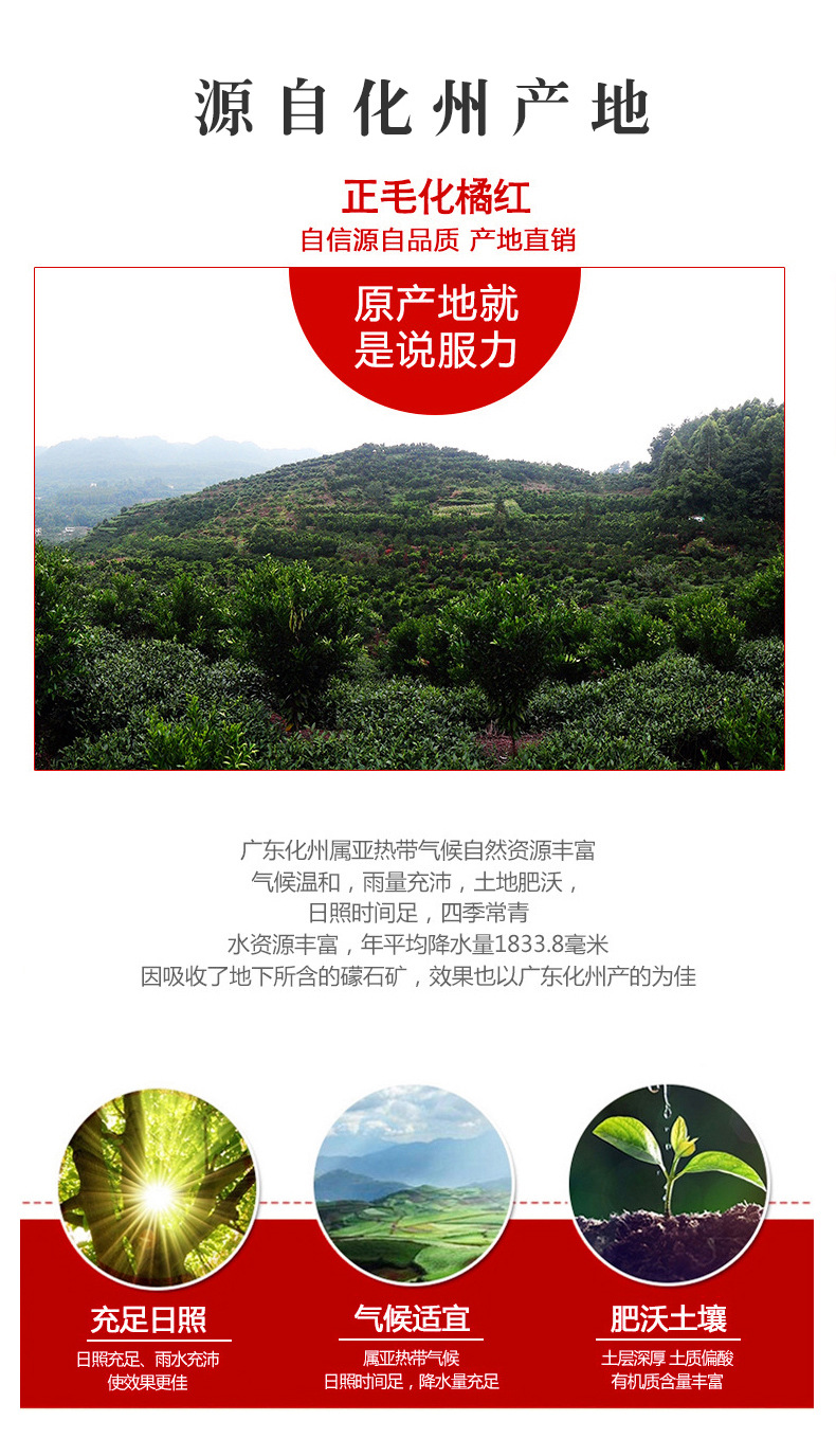Hua Ju Hong Slices (Citrus grandis 'Tomentosa') — Dried Food-Herb Citrus Peel for Tea & Soup quality and texture