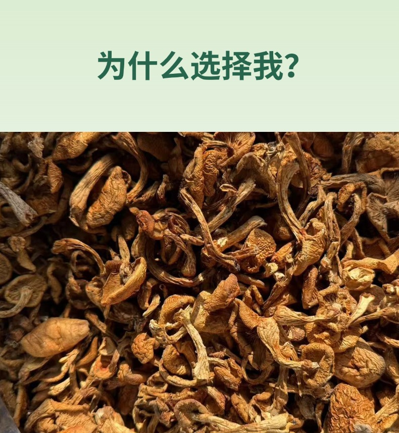 Dried Northeast Yellow Mushroom Hua Zi Gu Dried Mushroom for Chicken Stew 500g key features